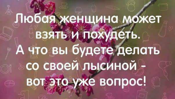 13 Любая женщина может взять и Похудё ь А что вы будете делать со своей лысиной во уже вопрос