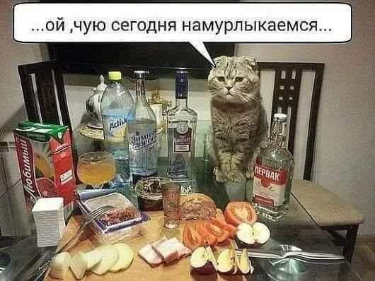 ОЙ ЧУЮ СЕГОДНЯ намурпыкаемся