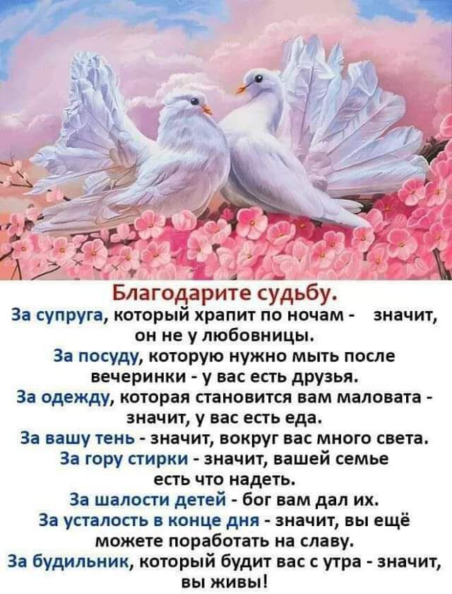 Благодарите судьбу 3 супруга который храпит по ночам значит он не у любовницы Зі посуду которую нужно мыть после вечеринки у пс есть друзья за одежду которая становится вам маловата значит у на есть еда За вашу тень значит вокруг вас много света За гору стирки значит нашей семье есть что надеть э шалвпи детей Бот нам дал их 3 усталость е кокце дкя значит вы ещё можете поработать на славу 3 6удильк