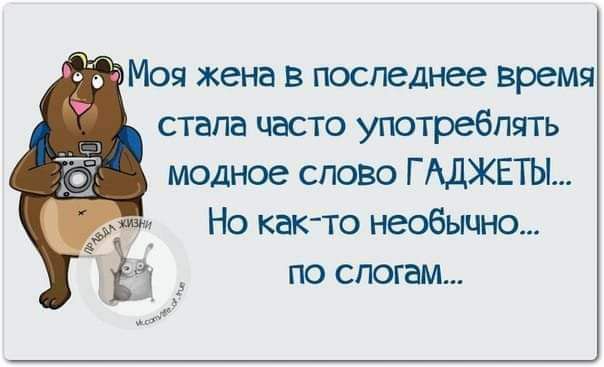 Моя жена в последнее время стала часто употреблять модное слово Г АДЖЕТЫ Но как то необычю по слогам