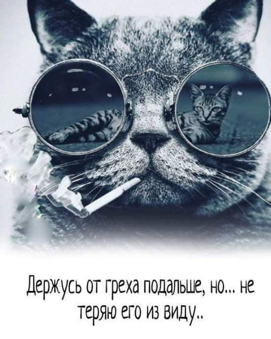 Держусь от греха подальше но не теряю его из виду