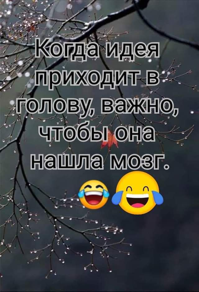 __ чип инга нишаа Мовгз за
