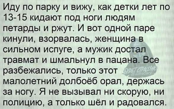Иду по парку и вижу как детки лет по 13 15 кидают под ноги людям петарды и ржут И вот одной паре кинули взорвалась женщина в сильном испуге а мужик достал травмат и шмапьнуп в пацана Все разбежались только этот малолетний допбоёб орал держась за ногу Я не вызывал ни скорую ни полицию а только шёл и радовался
