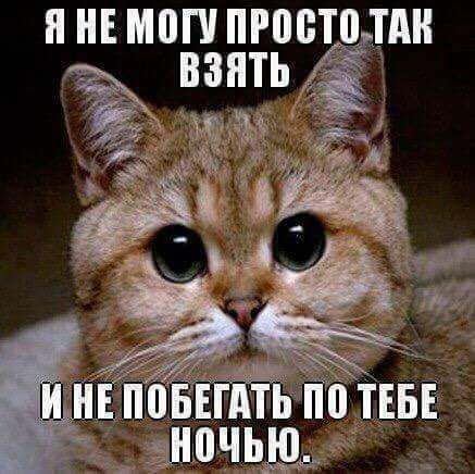 ЕДпіъвЁг тЕтвыг аночьщдэ __