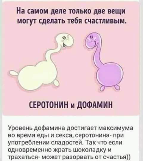 На самом деле ТОЛЬКО две ВЕЩИ МОГУТ сделать ТЕБЯ СЧЗГШИВЫИ СЕРОТОНИН и дОФАМИН Уровень дОФаМИНЗ ЛОСТИГЗЕТ максимума БО ВРЕМЯ еды И СЕКСВ СЕРОШИИНЗ при употреблении сладостей Так что если одновременно ЖРЗТЬ шоколадку И трахатьсж можег разорвать от счастья