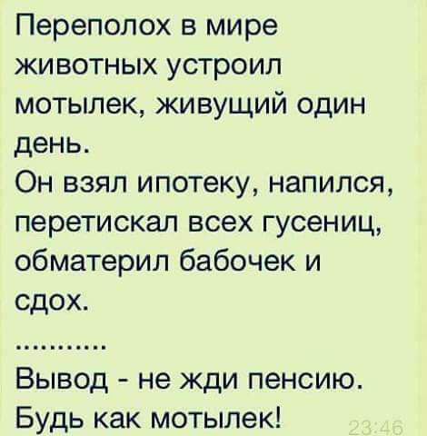 Переполох в мире животных устроил мотылек живущий один день Он взял ипотеку напился перетиокал всех гусениц обматерил бабочек и сдох Вывод не жди пенсию Будь как мотылек
