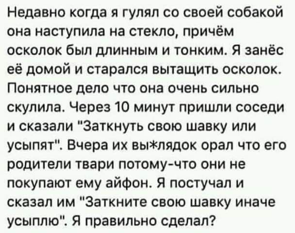 Недавно когда я гулял со своей собакой она наступила на стекло причём осколок был длинным и тонким Я занёс её домой и старался вытащить осколок Понятное дело что она очень сильно скупила Через 10 минут пришли соседи и сказали Заткнуть свою шавку или усыпят Вчера их вылядок орал что его родители твари потому что они не покупают ему айфон Я постучал и сказал им Заткните свою шавку иначе усыплю Я пра