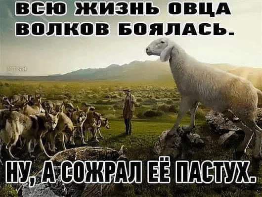 Ё ЁСЮПЖИЗНЬ ВВЦА Волков БОЯЛАСЪ
