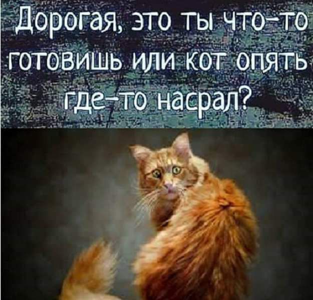 враг ая это