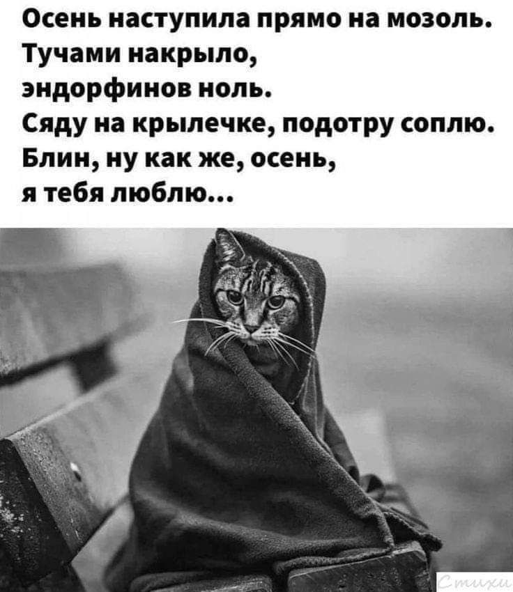 Осень наступила прямо на мозоль тучами накрыло эндорфинов ноль Сяду на крылечке подотру соплю Блин ну как же осень я тебя люблю