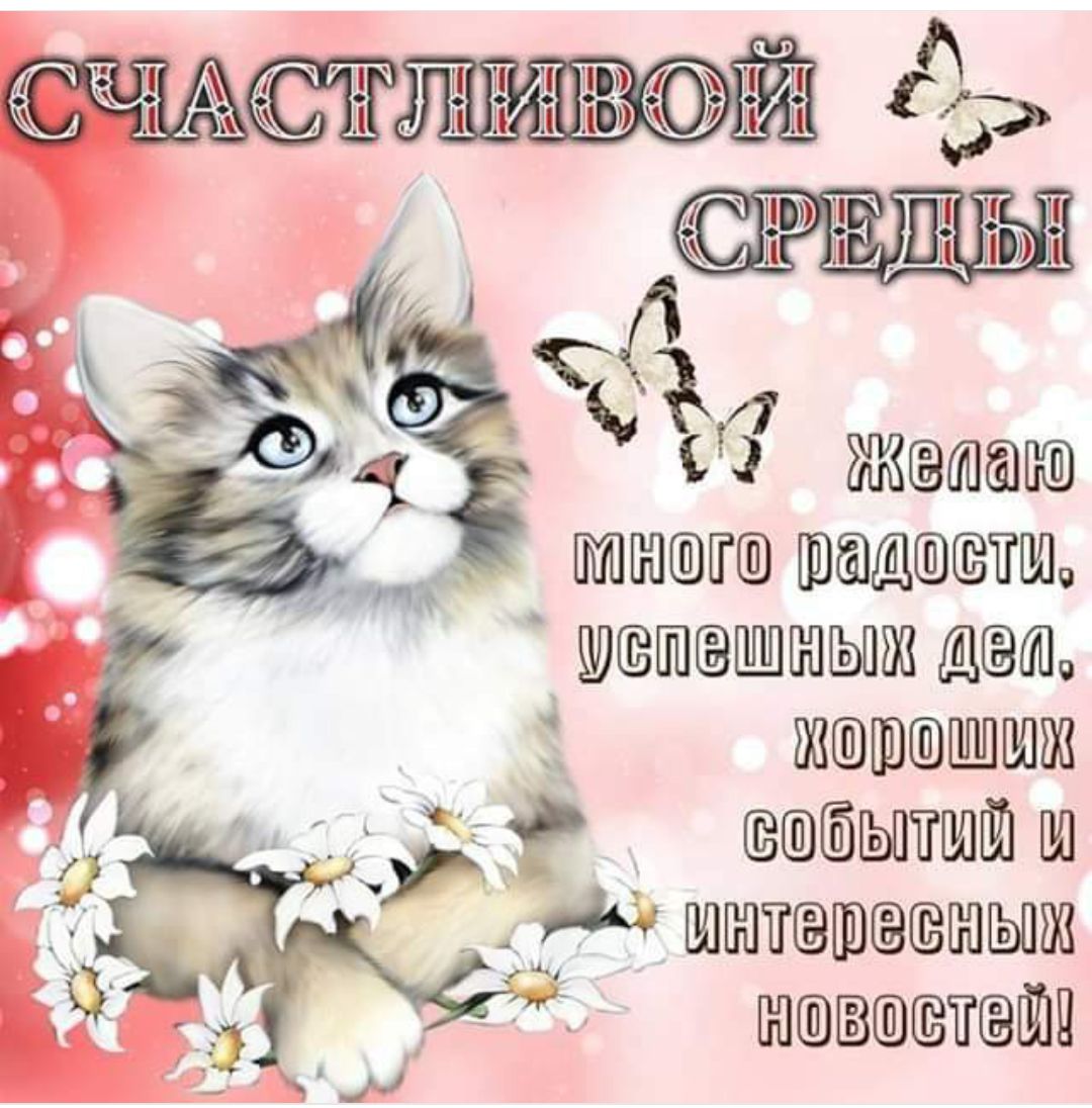 _ 1 изящшшзтщ пн жгшиэшпшпшш ёытгшт ш шитваыш