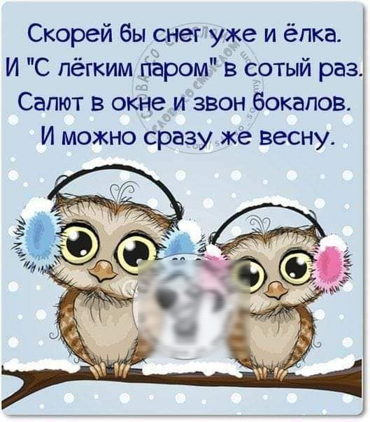 Скорей бы снег уже и ёлка И С лёгким паром в сотый раз Салют в окне и звон бокалов И можно сразу же весну
