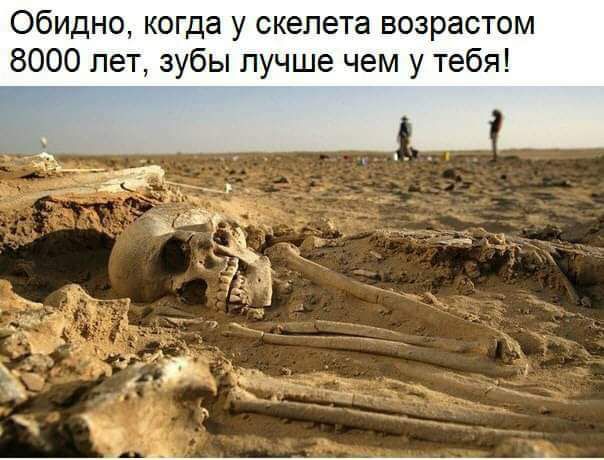Обидно когда у скелета БОЭРЗСТОМ 8000 лет зубы лучше чем у тебя