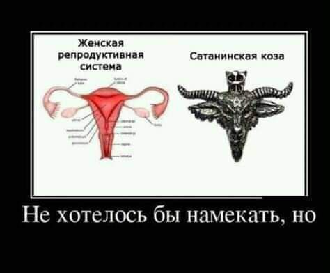 Жеикиви вепрплупимал Сатиииская коза ипеив НС ХОТСЛОСЬ бы НЦМСКЦТЬ НО