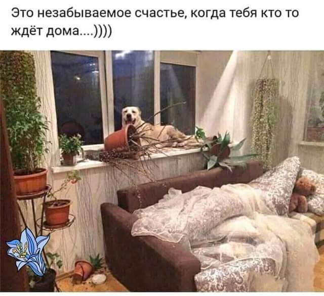 Это незабываемое счастье когда тебя кто то ждет дома