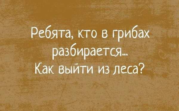 Ребята кто в грибах разбирается Как выйти из леса