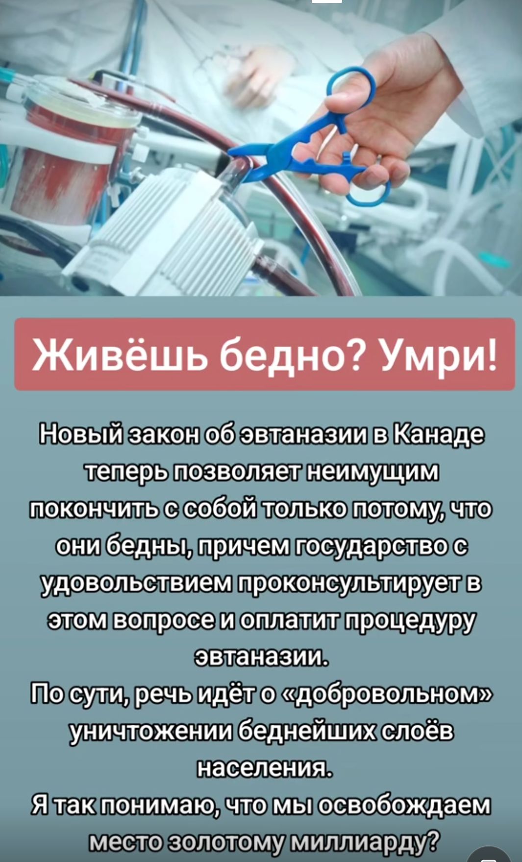Живёшь бедно Умри Нэвый законэвтаназии Канаде ___ немцца апп6 а Шчюшы ЗОЛОТОМУ МИППИ