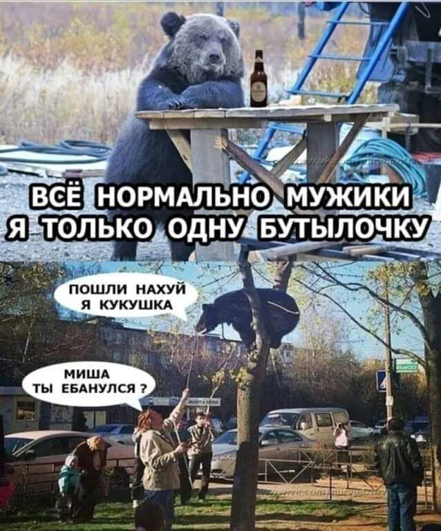 _ _ т нормдльно Ч ик Щтолько одну БУ_Т очку я кукушкА