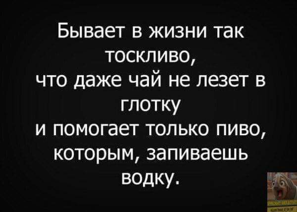 Бывает в жизни так тоскливо что даже чай не лезет в глотку и помогает только пиво которым запиваешь водку чт