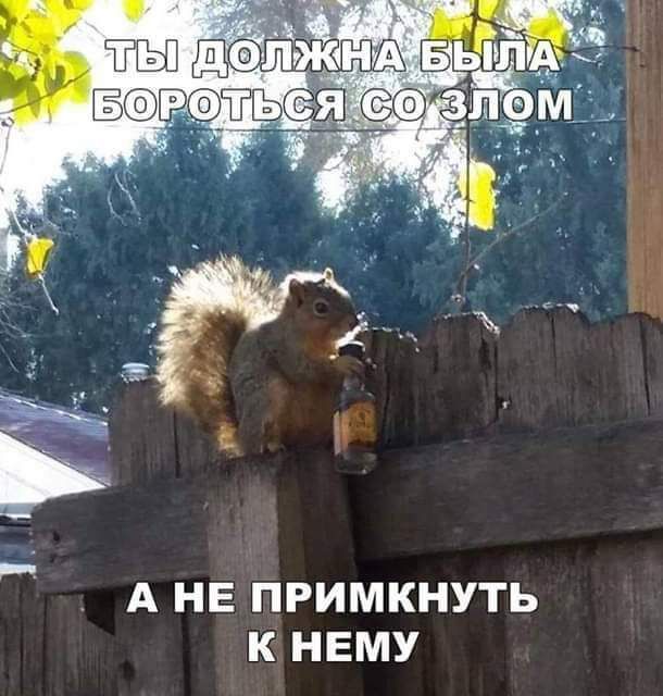 А НЕ ПРИМКНУТЬ К НЕМУ