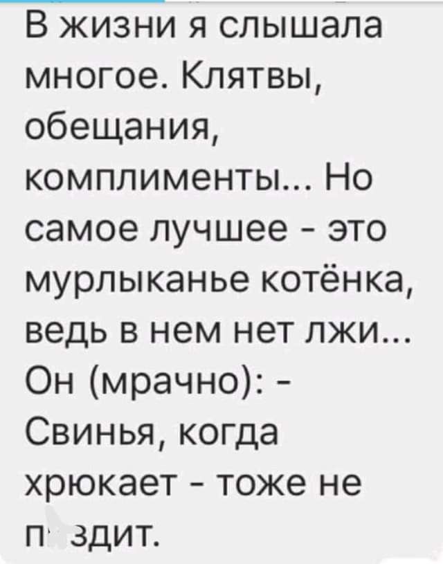 В жизни я слышала многое Клятвы обещания комплименты Но самое лучшее это мурлыканье котёнка ведь в нем нет лжи Он мрачно Свинья когда хрюкает тоже не п здит