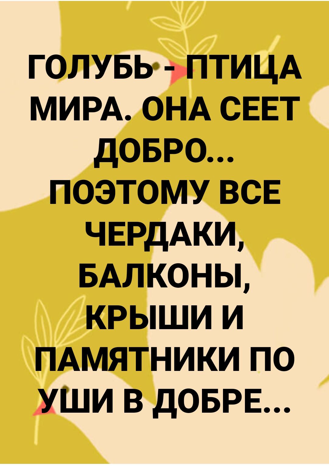 голувы ПТИЦА МИРА ОНА СЕЕТ довро поэтому всв ЧЕРдАКИ БАЛКОНЫ крыши и ПАМЯТНИКИ по Уши в дОБРЕ