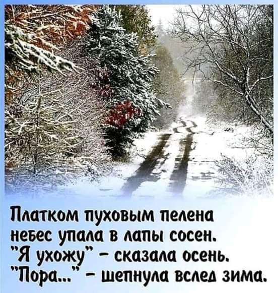 Платком пуховым пепена невес упала в даны сосен Я ухожу сказала осень Пора шепнуш вслед зима