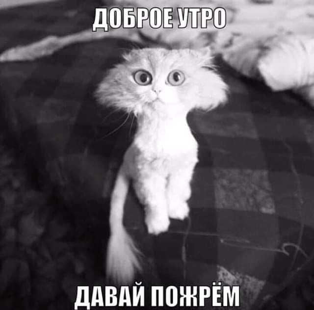 _ ДдВдЙ ПШНРЁМ