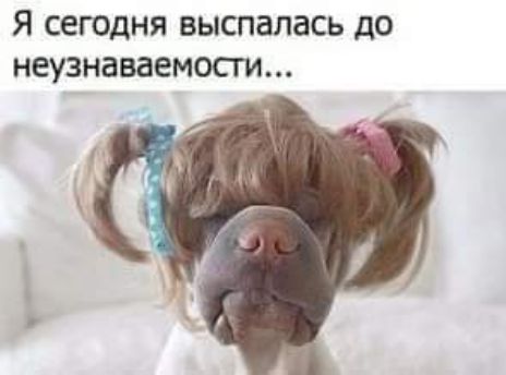 Я СЕГОДНЯ ВЫСПЗЛЗСЬ ДО неузнаваемости