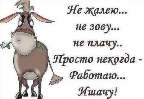 Ле жалею не зову не пишу Просто некргда Работаю Ишачу