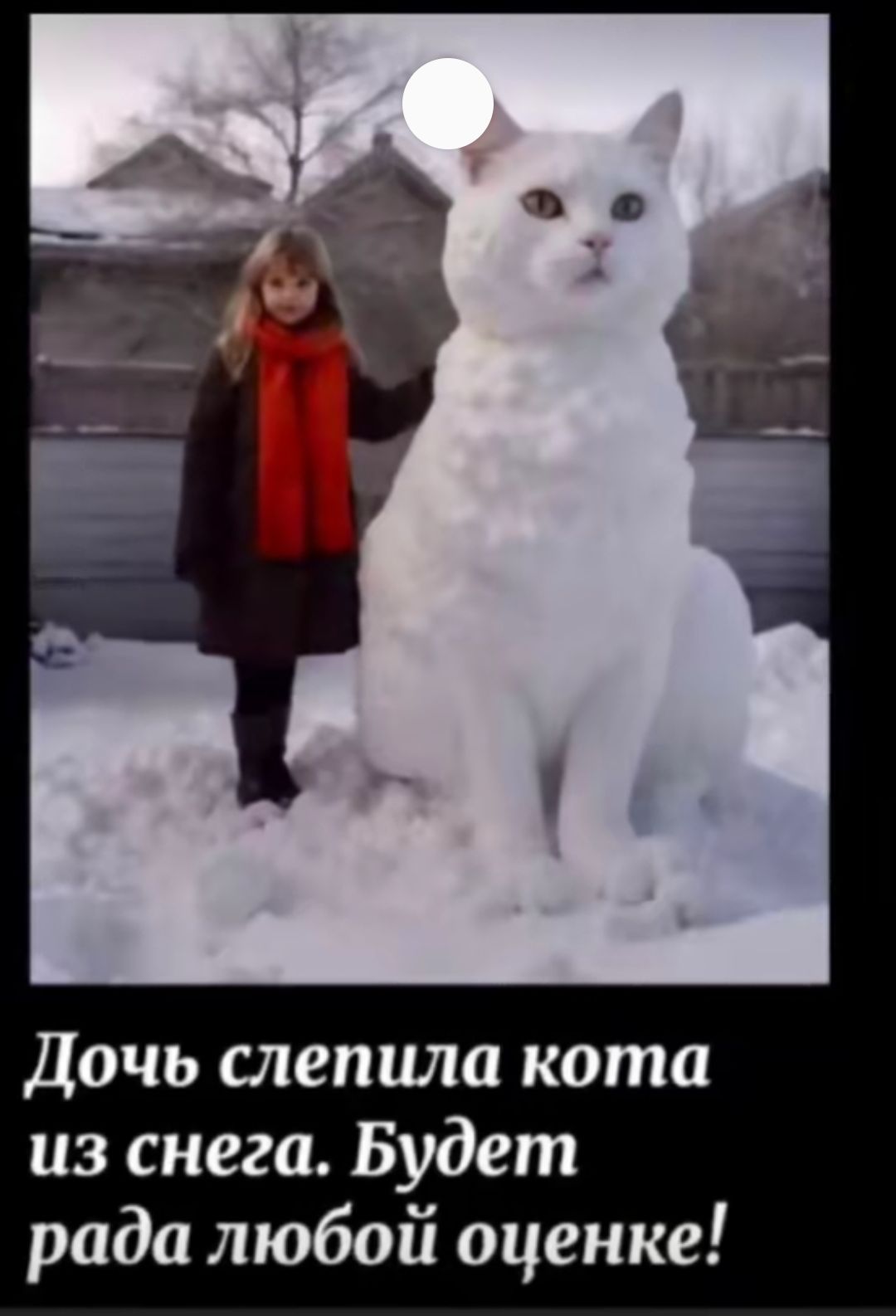 Дочь слепила кота из снега Будет рада любой оценке