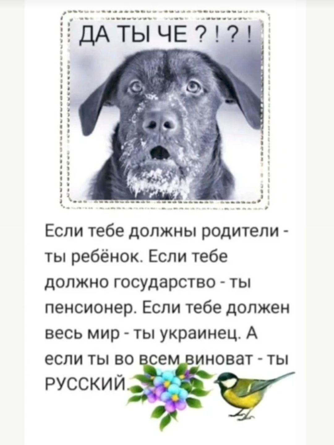 ДАТЫ чЁ Если тебе должны родители ты ребёнок Если тебе должно государство ты пенсионер Если тебе должен весь мир ты украинец А если ты во е иноват ты русский 7