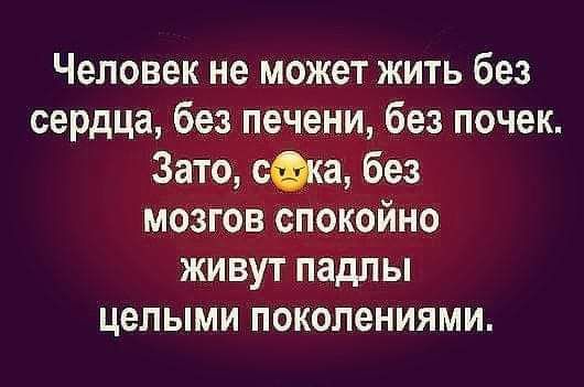Человек не может жить без сердца без печени без почек Зато сека без мозгов спокойно живут падлы целыми поколениями