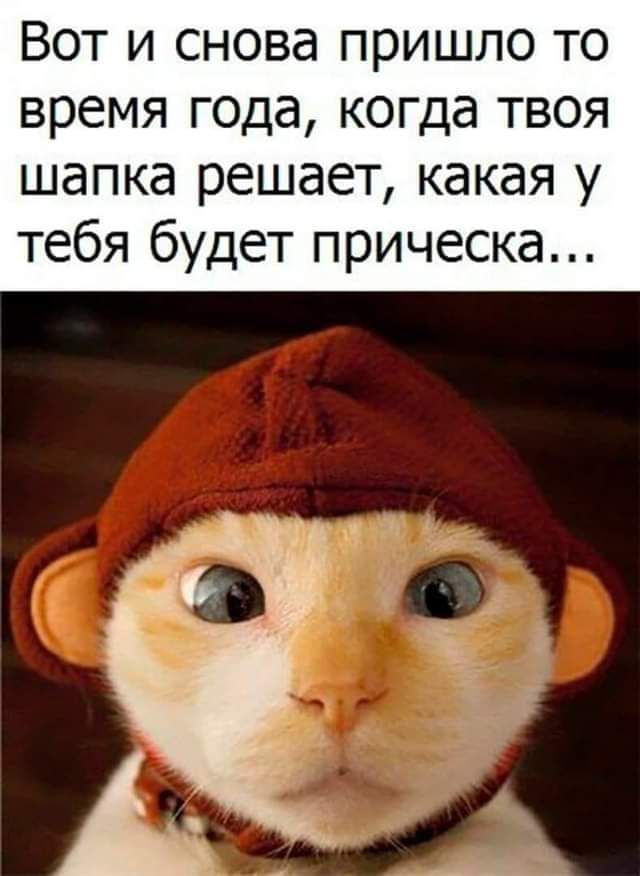 Вот и снова пришло то время года когда твоя шапка решает какая у тебя будет прическа