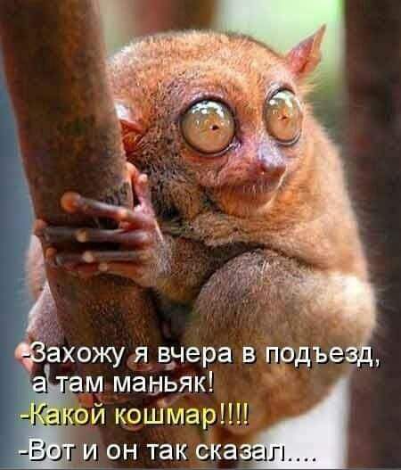 П Рдъе Захожу я вчера в м маньяк й кошмарНН И ОН ТЭК скг