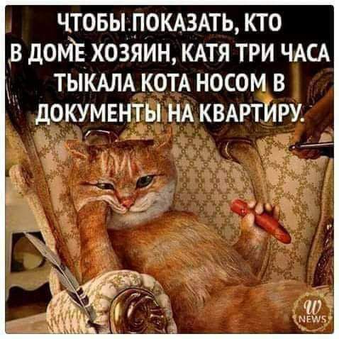ЧТОБЫЛОКАЗАТЬ КТО В дОМЁ ХОЗЯИН КАТЯ ТРИ ЧАСА ТЫКАЛА КОТА НОСОМ В дОКУМЕНТЫ НА КВАРТИРУ