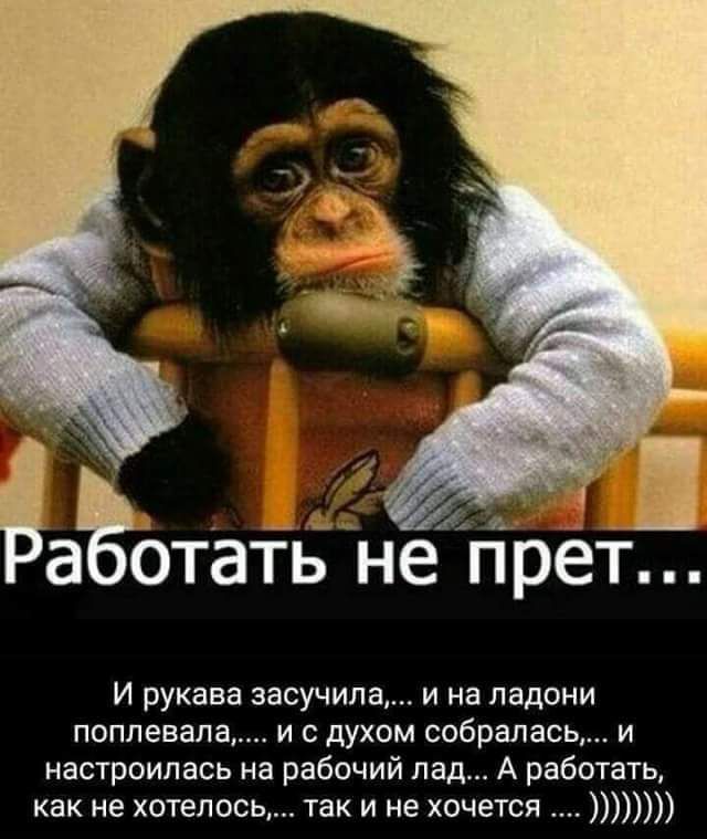 __ А а отать не прет И рукава засучипа и на ладони поплевала и с духом собралась и настроилась на рабочий пвд А работать как не хотелось так и не хочется