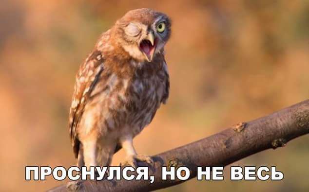 ПРОСНУПСЯ НО НЕ ВЕСЬ