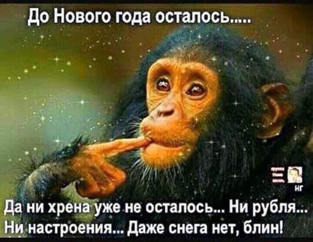 до Нового года оотапоіь_ ии ЁЁ не осталось Ни рубля иасгроеииж даже снега нет блин
