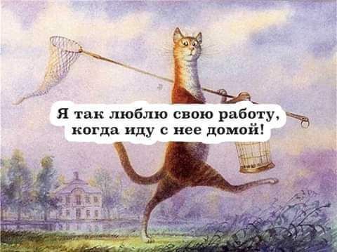 Я так люблю свою работу кагда иду с нее домой