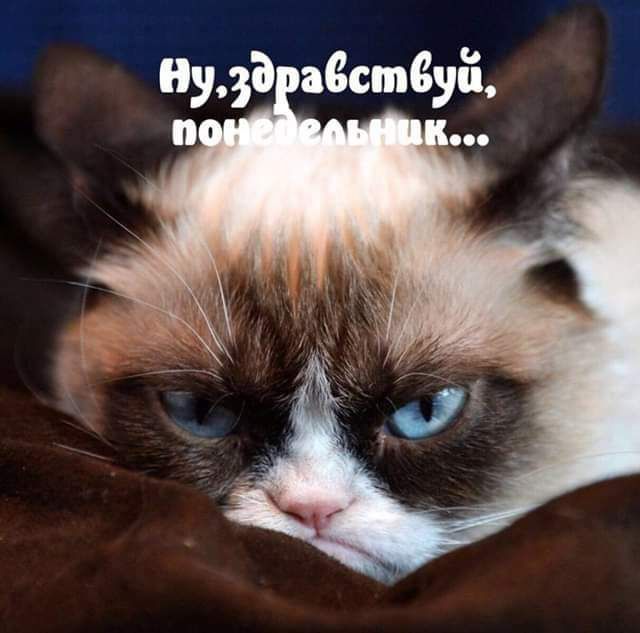НуЭ авсшдуіі п