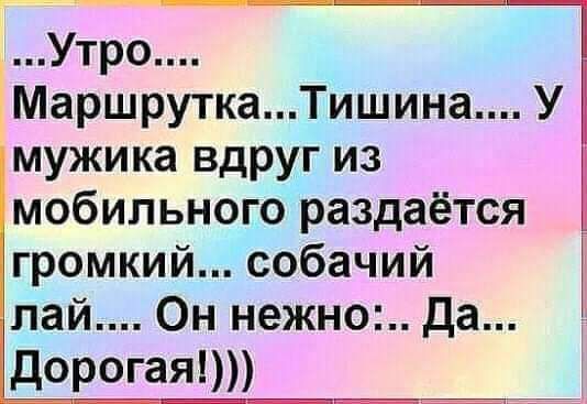Утро МаршруткаТишина У мужика вдруг из мобильного раздаётся громкий собачий дай Он нежно да дорогая