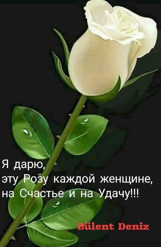 Я дарю _ эту 993у каждой женщине на Счастье Где Удачу ищем Пепі