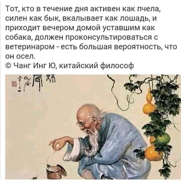 Тот кто в течение дня активен как пчела сипен как бык вкалывает как лошадь и приходит вечером домой уставшим как собака должен проконсультироваться ветеринаром есть большая вероятность что он осел Чанг Инг Ю китайский философ ЁРЙ
