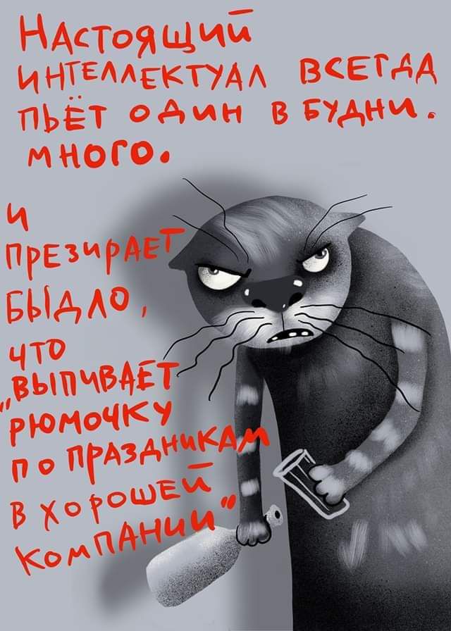 НАстоящиЁ ингаским ВЕТАА ПЬЕТ один В дни МНОГО