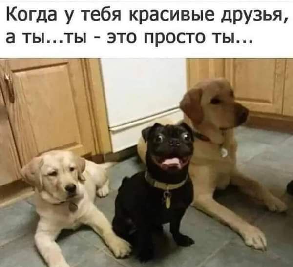Когда у тебя красивые друзья а тыты это просто ты