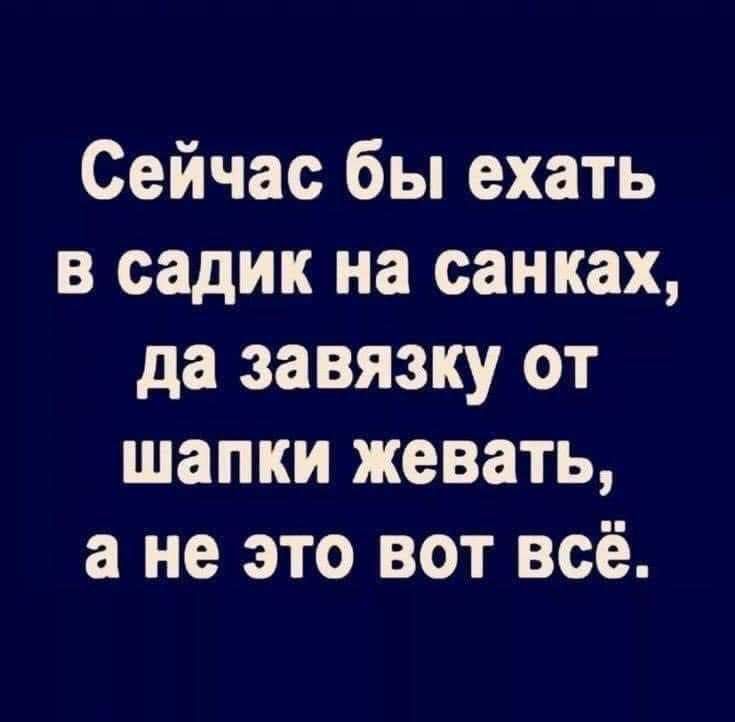 Сейчас бы ехать в садик на санках да завязку от шапки жевать а не это вот всё