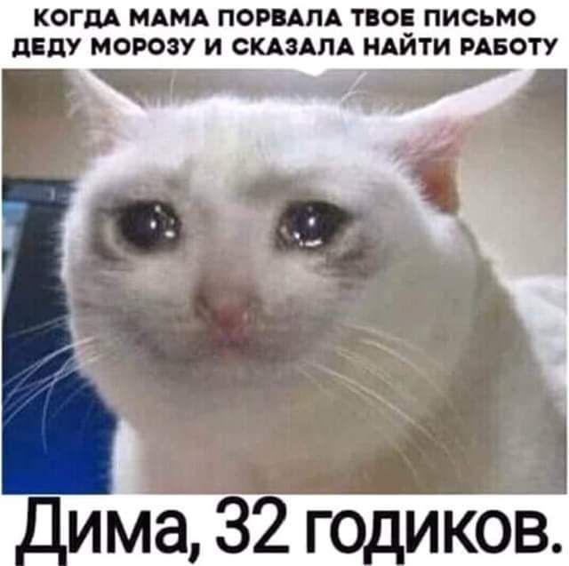 КОГДА МАМА ПОРПАЛА ТОі ПИСЬМО ЦЕНУ МОРОЗУ И СКАЗАЛА НАЙТИ РАБОТУ