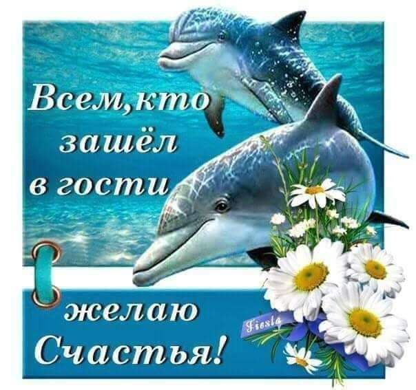 ал Вселмуюто зашел