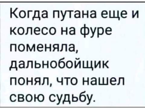 Когда путана еще и колесо на фуре поменяла дальнобойщик понял что нашел свою судьбу